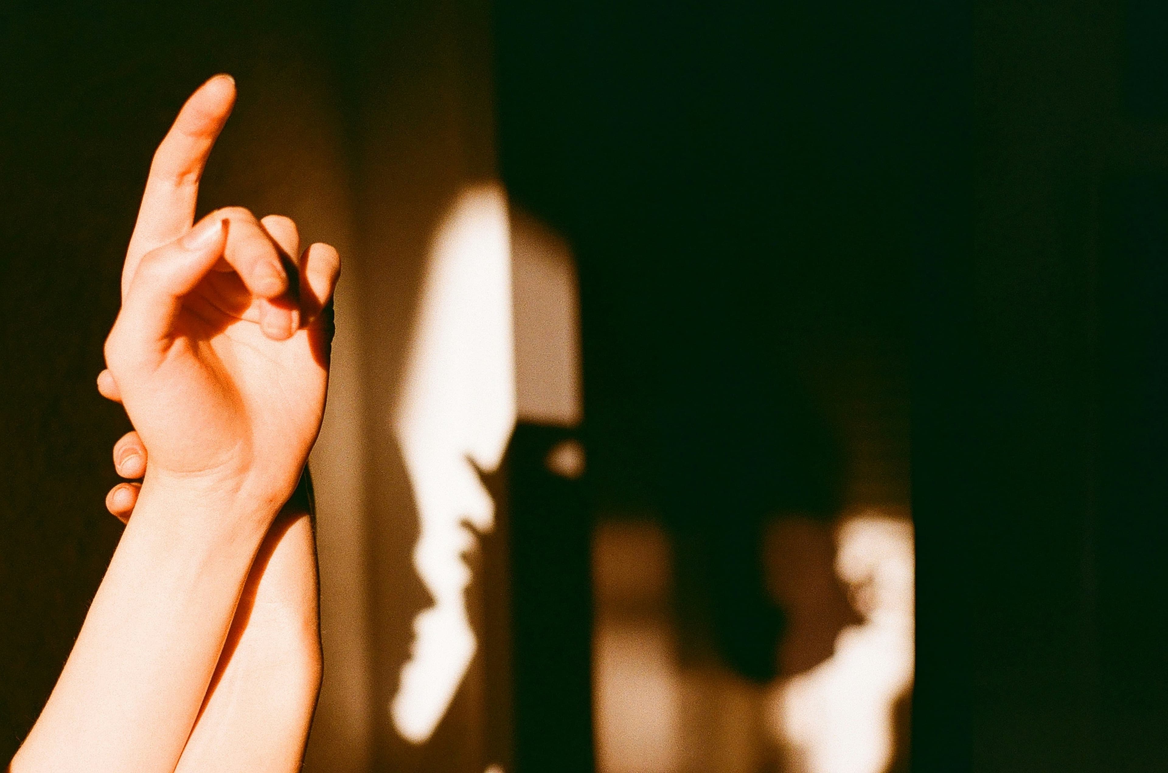 Shadow Puppets: Learn the art of Shadow play